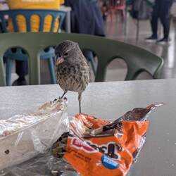 Sogar am Flughafen kann man noch Tiere beobachten!