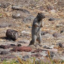 Ob er Vorbild für ...