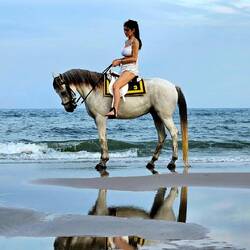 Beiti, Beiti. So hab ich als Kind Pferde immer genannt.