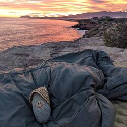 Herkules hat seinen Platz schon gefunden