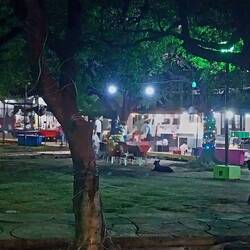 In Leon am Parque Guadelupe, lauter Essensstandl