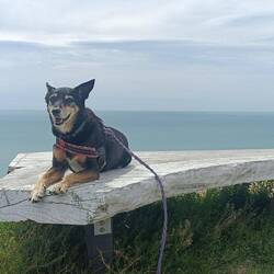 Ma princesse qui vit sa meilleure vie