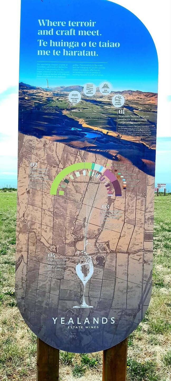 Nous entrons dans cet immense vignoble