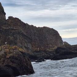 Möwe, Wind & 17 ° begrüßen uns am neuen Schlafplatz