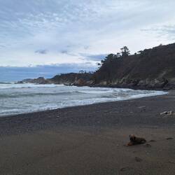 Keine Lust auf Familienfoto