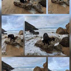 Wasser kommt, Wasser geht & nix wie weg