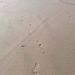 Spuren im Sand