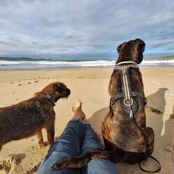 Lesen und Hundebeobachtung in der 🌞, so war fast der Plan