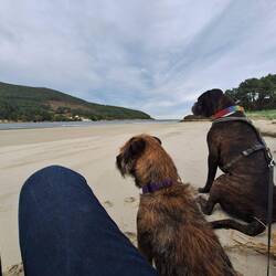 Lesepause - es zieht sich zu