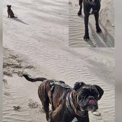 Ball - Wasser - schubbern