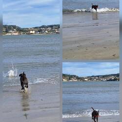 Badesaison noch nicht beendet