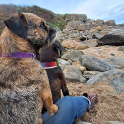 Lese Pause im Windschatten