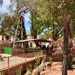 Christmasdeko passt hier iwie nicht