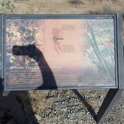 Im Joshua Tree NP treffen zwei Wüsten aufeinander.