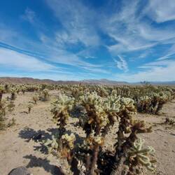 Soweit das Auge reicht.