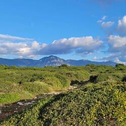 Aussicht von der Küstenstraße Richtung Berge