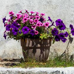 Gruyères, Switzerland.