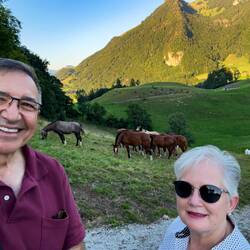 Another surprise ... a herd of horses — Gruyères, Switzerland.