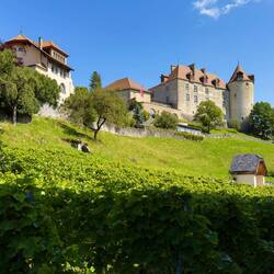 Looking up at the Château de Gruyères across the vineyard near the church — Gruyères, Switzerland.