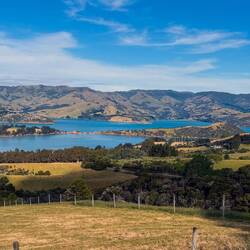 Blick zum Akaroa Harbour von der Pigeon Bay Road