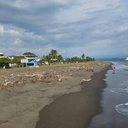 Ziemlich viel Holz angeschwemmt