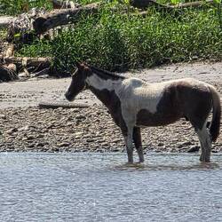 Da ist einer mutig! 😉