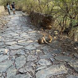 My Portuguese friends, Joseph & Suzanna, in Bundi
