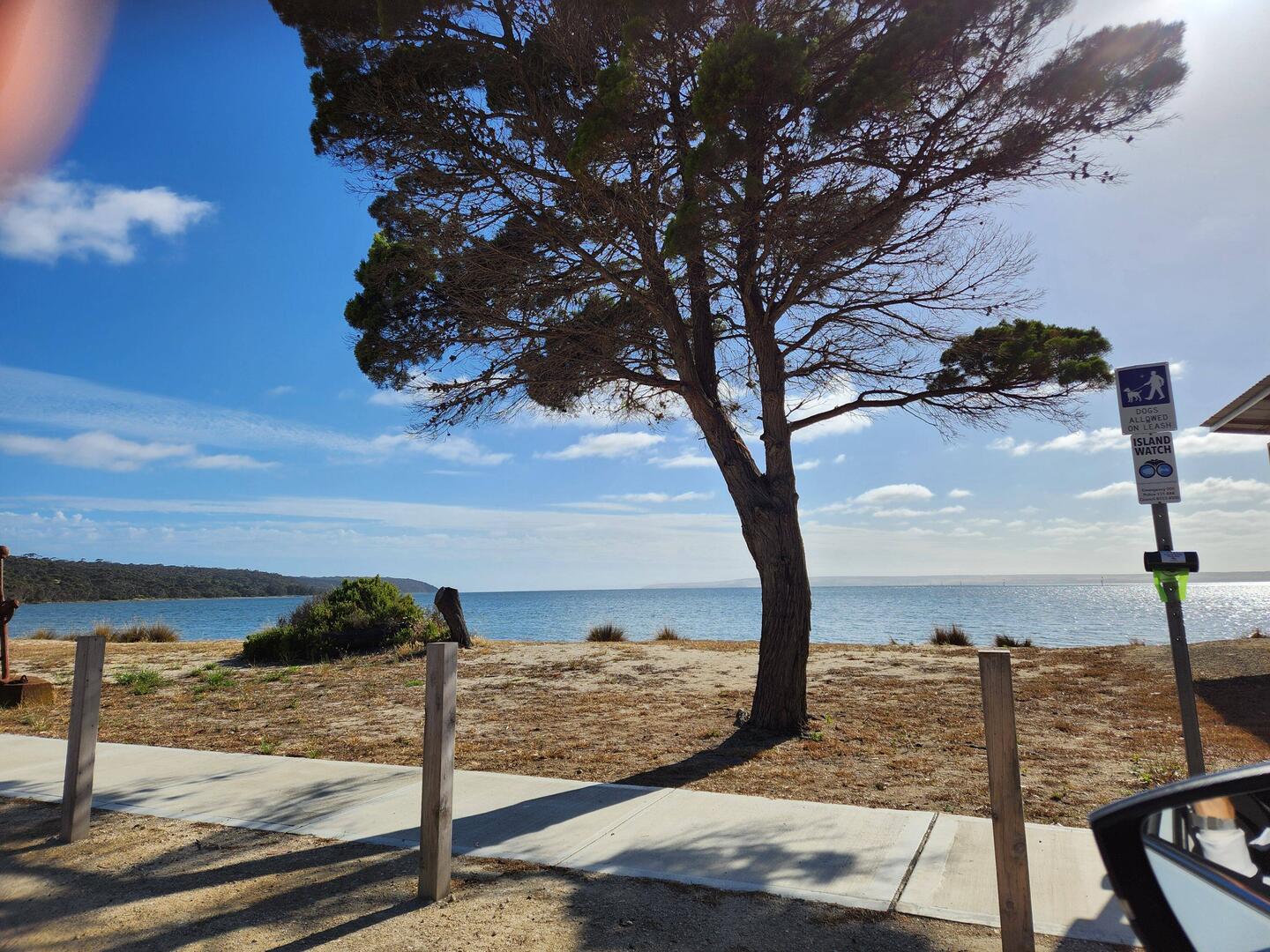 American River - KI Coffee cart