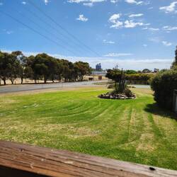 Green grass at Beehive Store