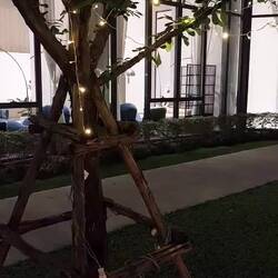 Viel psychedelisch-schöner wird es dann bei Dunkelheit vor der Tür 😳😱