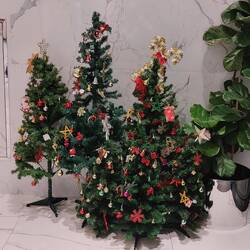 Auch der Eingangsbereich unseres Hauses wurde etwas verschönert.