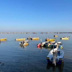 The little port in Kong