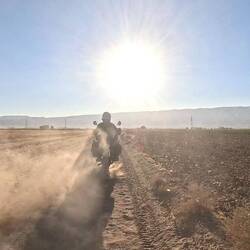 Enjoy kicking dust, Kismet, as long as you can...