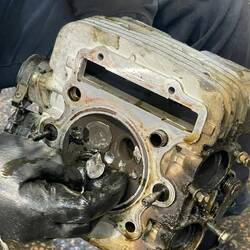 ...as well as a crazy head. Time for a longer break.