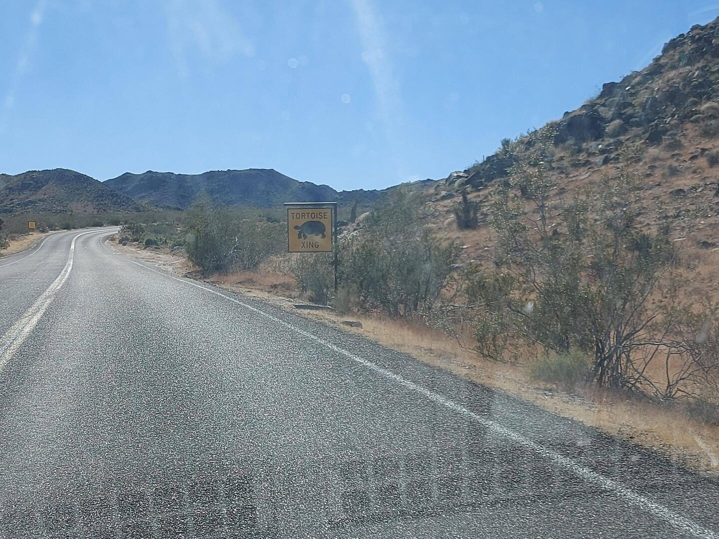 Schildkrötenübergang