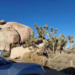 Da is der Blüher, war mir garnicht aufgefallen.