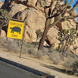 Noch mal in schöner, dafür schepp.