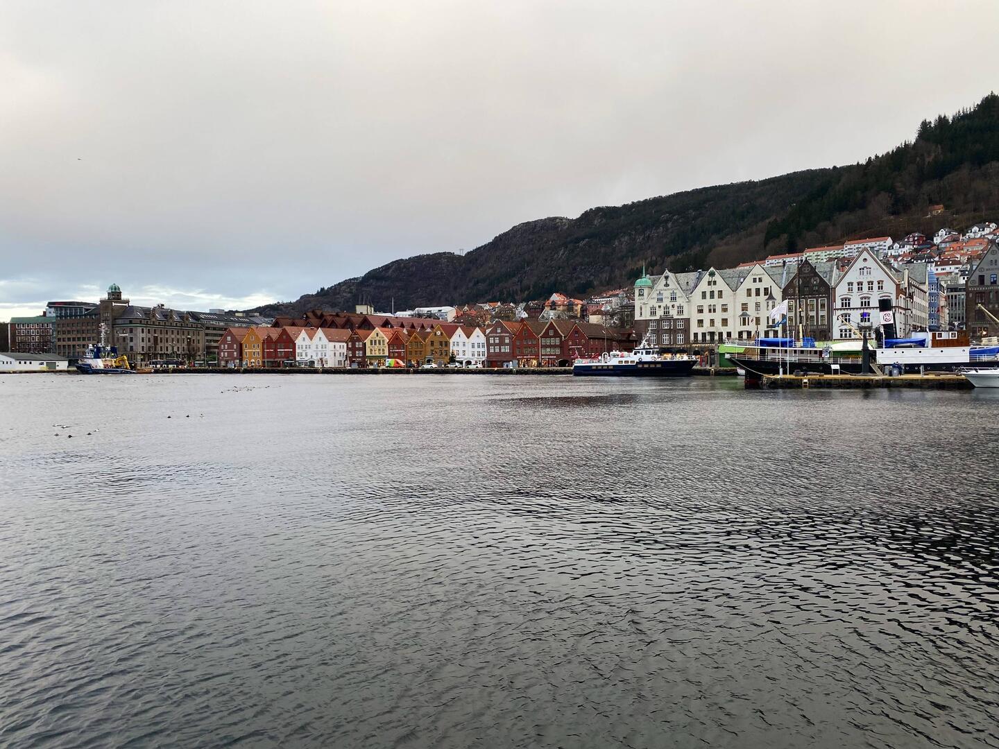 Bryggen, from across the old harbour