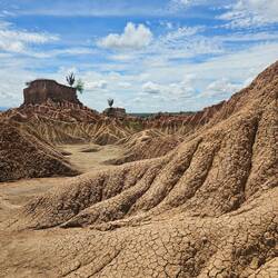 An dem Tag waren es über 42°C