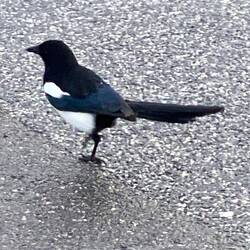 Sorry, must've moved!