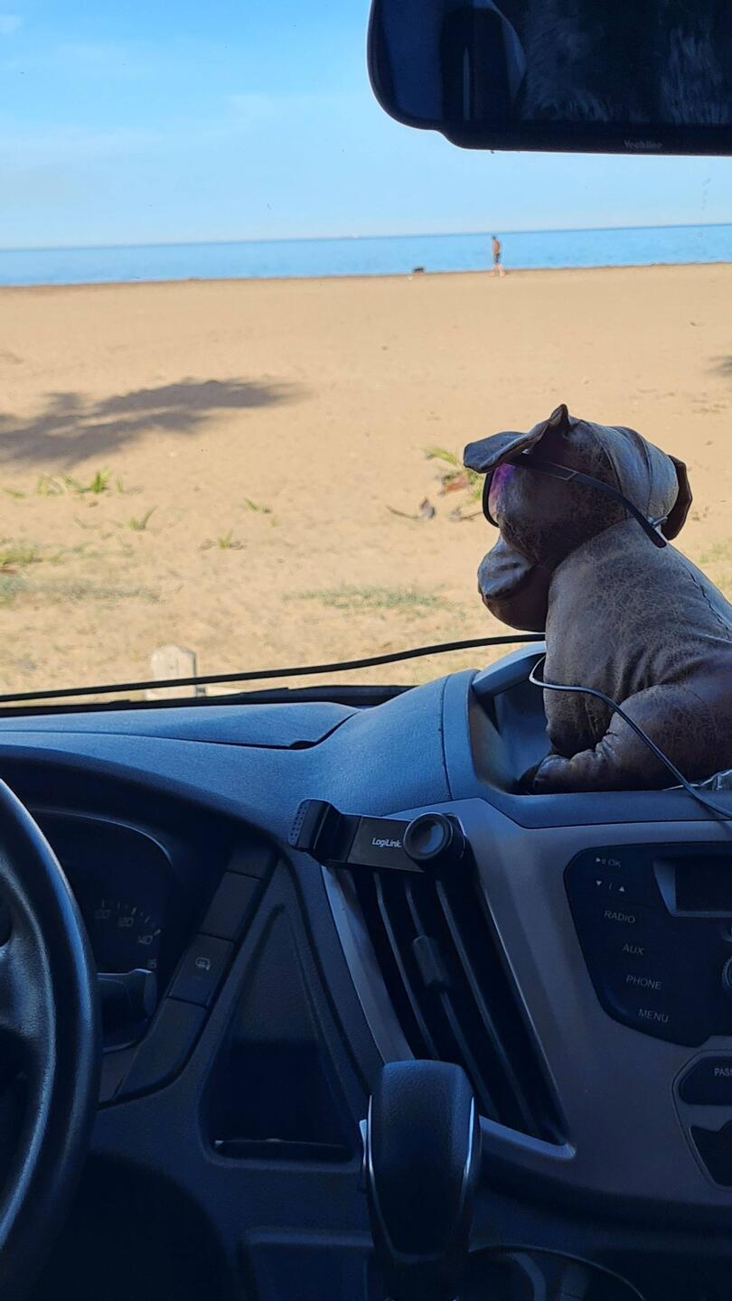 Unser Hund Andor schaut das Meer an