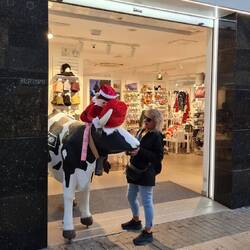 Und täglich grüßt das Murmeltier