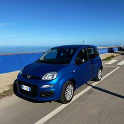 Meine süße Pandina