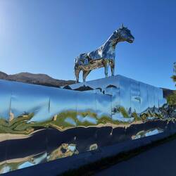 Silver horse, tolle Spiegelungen