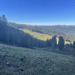 Durch dieses Gebiet führen die MTB-Downhillpisten