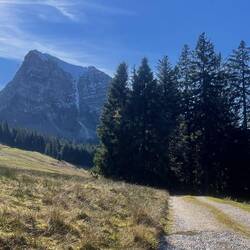 Ausblick auf die Bergspitze