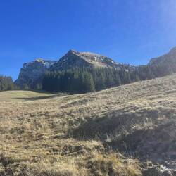 Im Hintergrund der Moléson