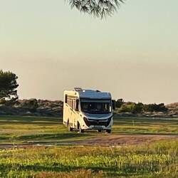 ..aber zu dieser Jahreszeit stehen alle gerne voll in der Sonne☀️