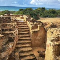 Königsgräber von Nea