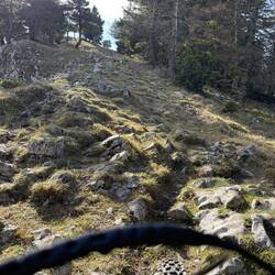 Über diesen Wanderweg geht es hoch zum Gipfel